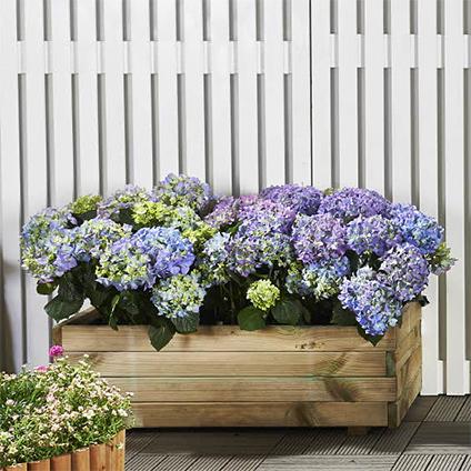 LANIT Vyvýšený záhon LANITPLAST POTTING8 (S7231) Sleva 3 % za registraci na RedEd.cz